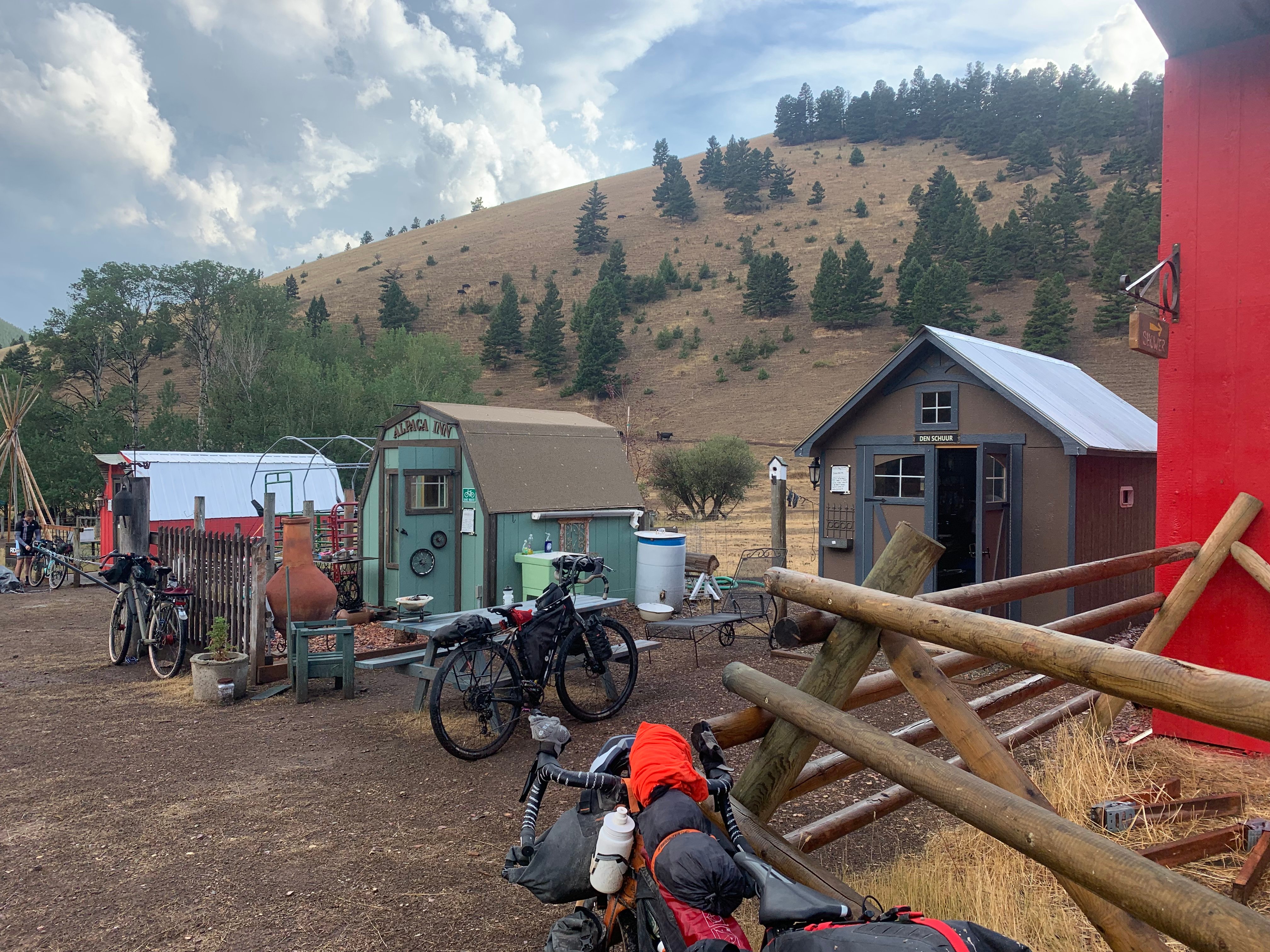 alpaca house
