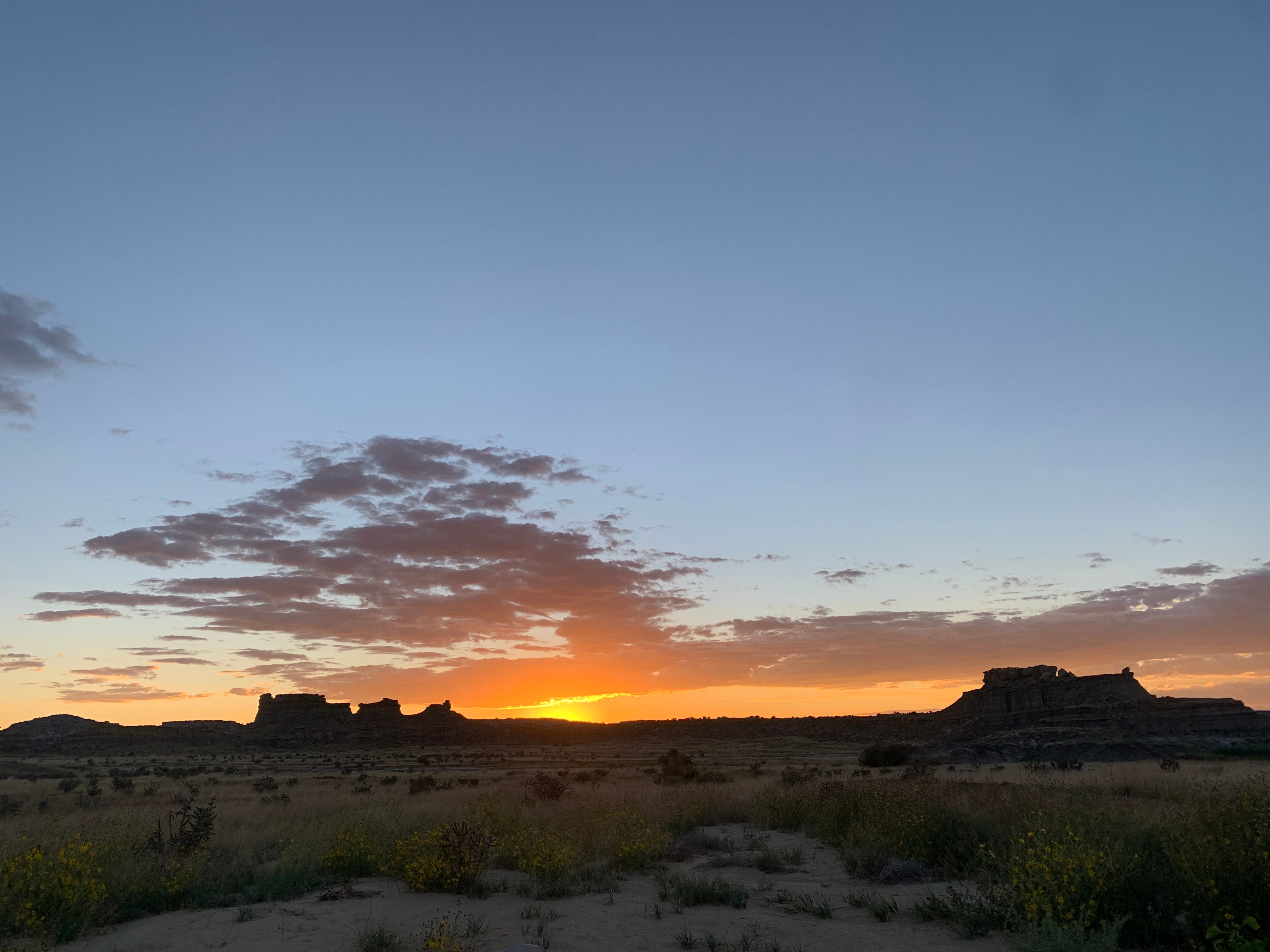 Desert sunset
